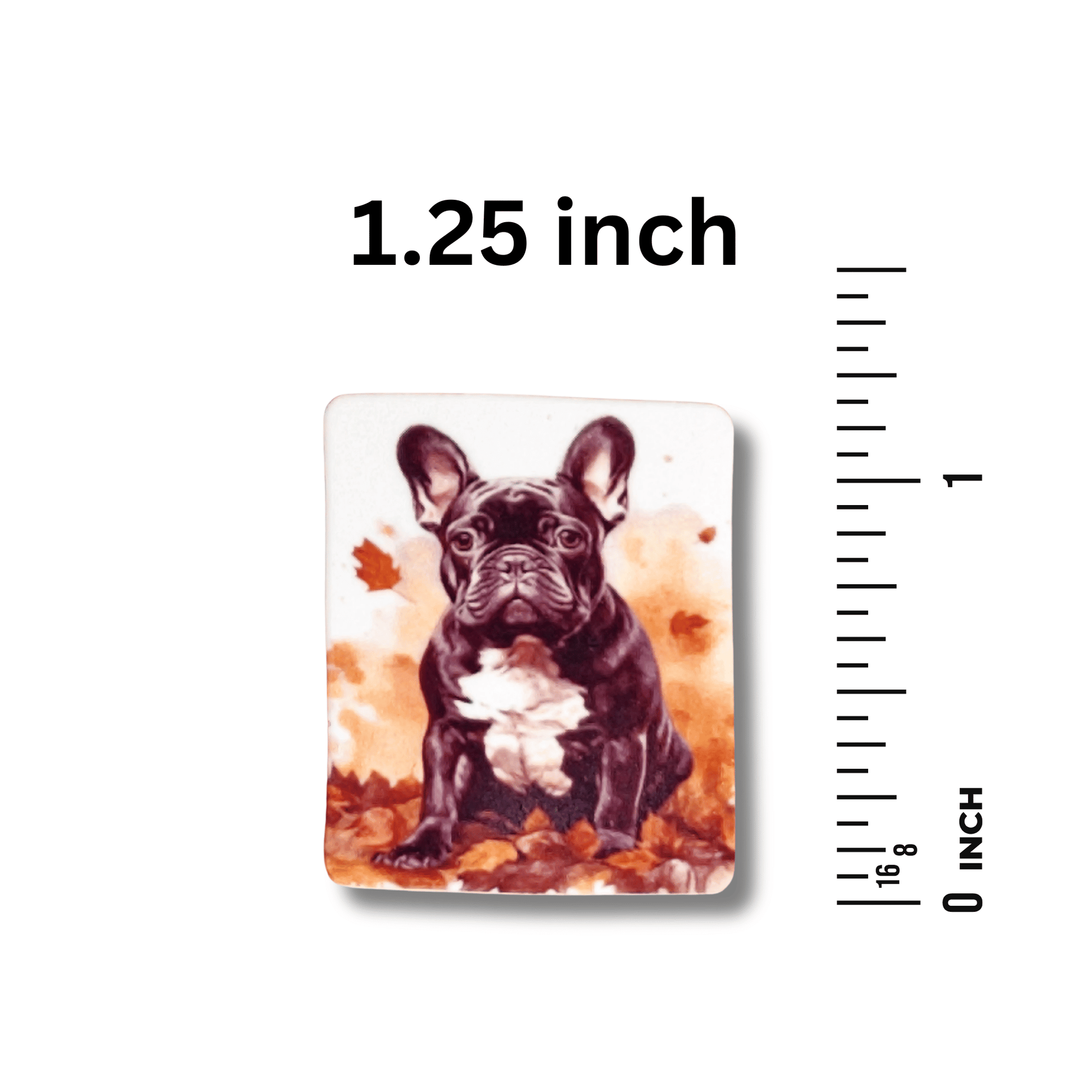Fall magnetic needle minder for needlepoint and embroidery projects